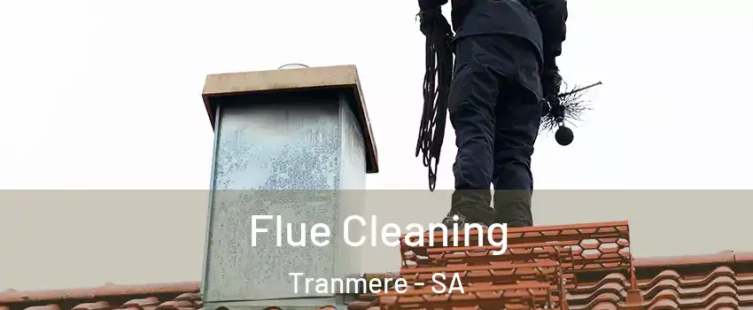  Flue Cleaning Tranmere - SA