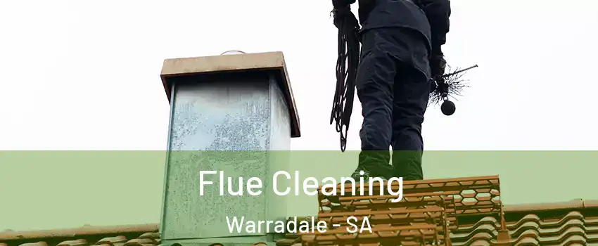  Flue Cleaning Warradale - SA