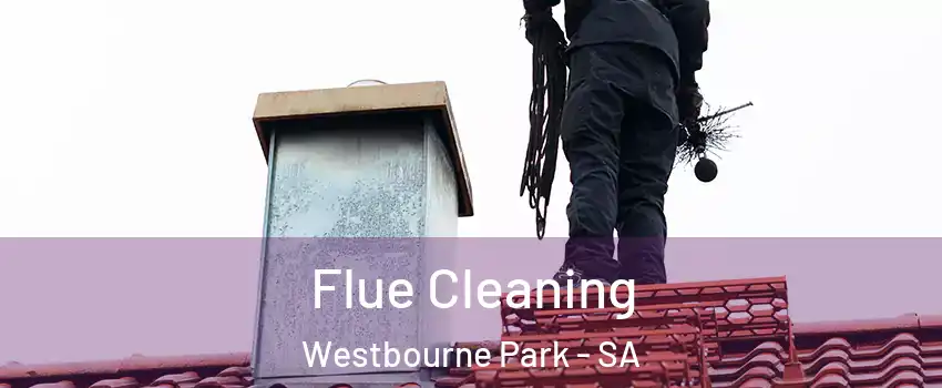  Flue Cleaning Westbourne Park - SA