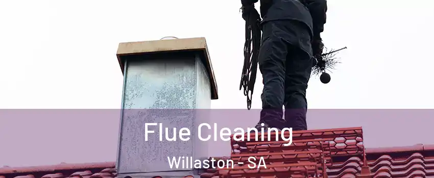  Flue Cleaning Willaston - SA