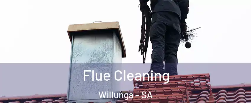  Flue Cleaning Willunga - SA