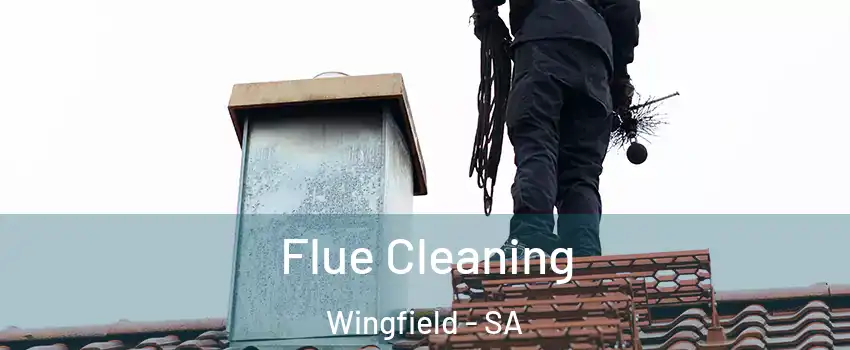  Flue Cleaning Wingfield - SA