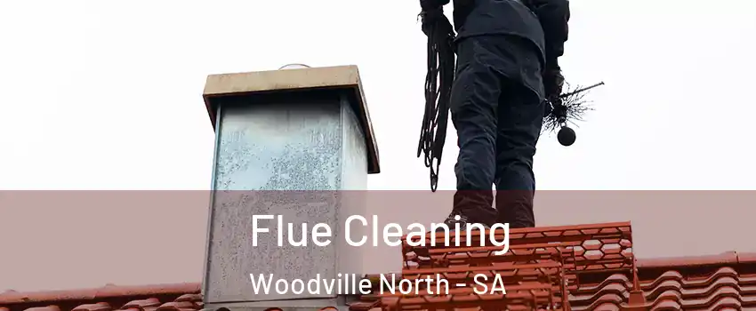  Flue Cleaning Woodville North - SA