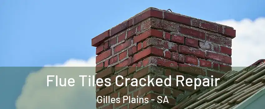 Flue Tiles Cracked Repair Gilles Plains - SA