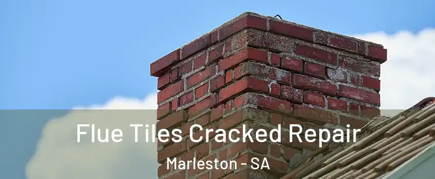  Flue Tiles Cracked Repair Marleston - SA