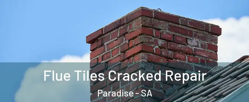  Flue Tiles Cracked Repair Paradise - SA
