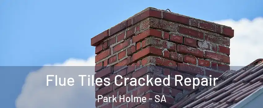  Flue Tiles Cracked Repair Park Holme - SA