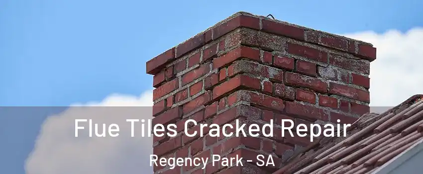  Flue Tiles Cracked Repair Regency Park - SA