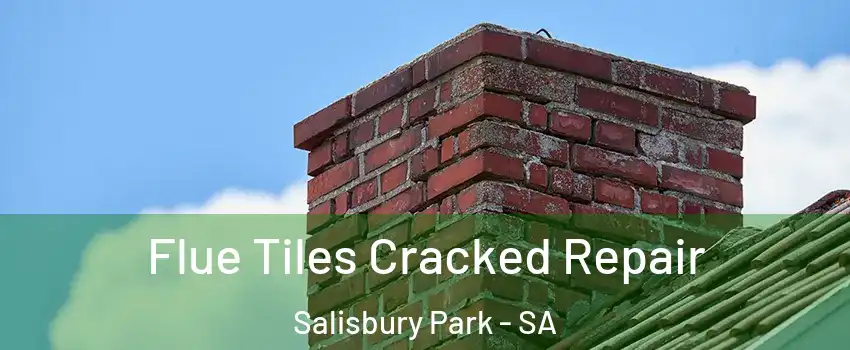  Flue Tiles Cracked Repair Salisbury Park - SA