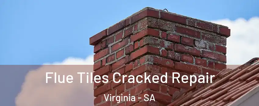  Flue Tiles Cracked Repair Virginia - SA