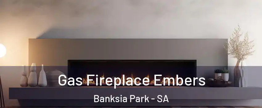 Gas Fireplace Embers Banksia Park - SA