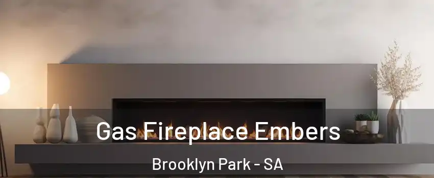 Gas Fireplace Embers Brooklyn Park - SA