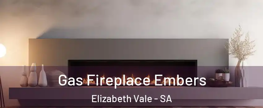 Gas Fireplace Embers Elizabeth Vale - SA