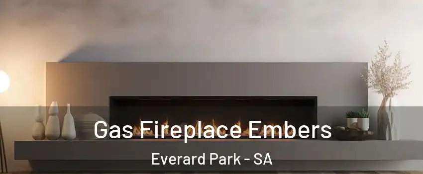 Gas Fireplace Embers Everard Park - SA