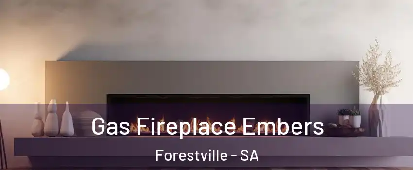Gas Fireplace Embers Forestville - SA
