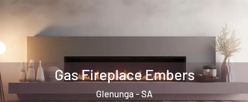 Gas Fireplace Embers Glenunga - SA