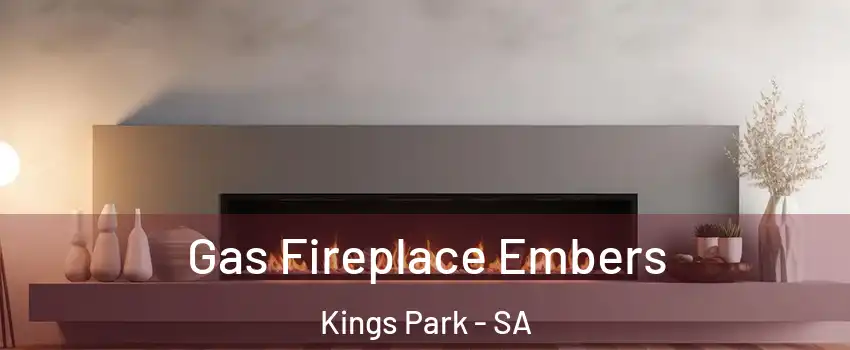Gas Fireplace Embers Kings Park - SA