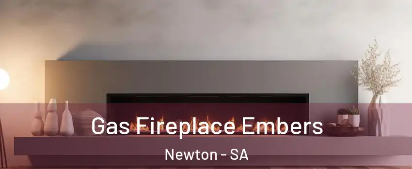  Gas Fireplace Embers Newton - SA