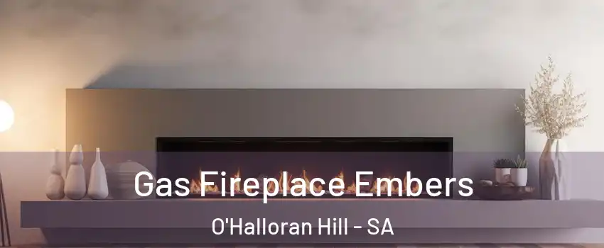  Gas Fireplace Embers O'Halloran Hill - SA