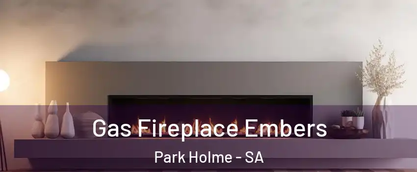  Gas Fireplace Embers Park Holme - SA