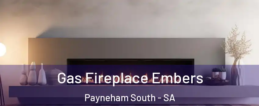  Gas Fireplace Embers Payneham South - SA