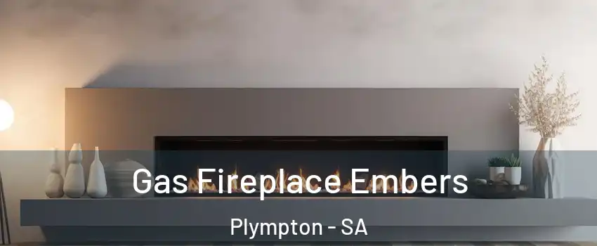  Gas Fireplace Embers Plympton - SA