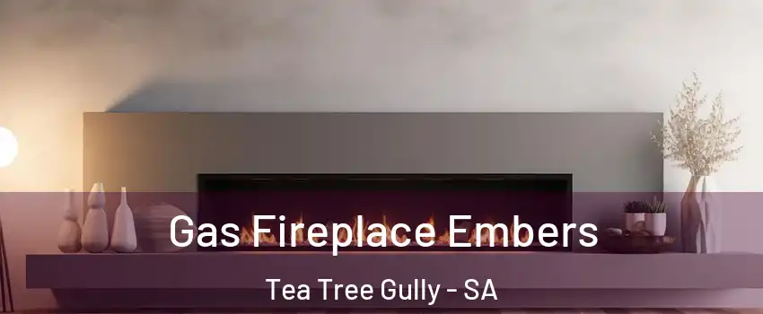  Gas Fireplace Embers Tea Tree Gully - SA