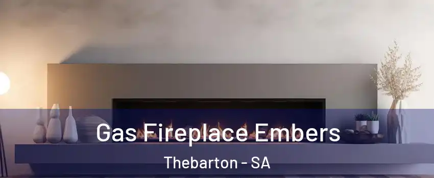  Gas Fireplace Embers Thebarton - SA
