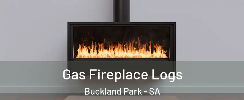 Gas Fireplace Logs Buckland Park - SA