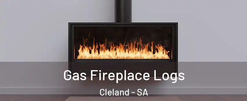 Gas Fireplace Logs Cleland - SA