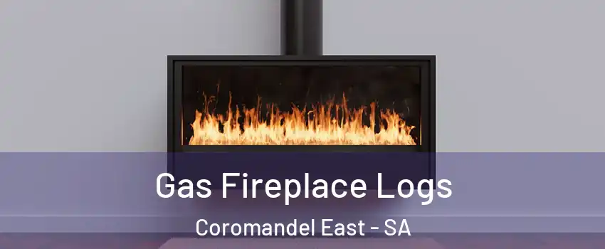 Gas Fireplace Logs Coromandel East - SA