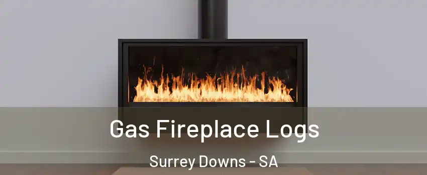 Gas Fireplace Logs Surrey Downs - SA