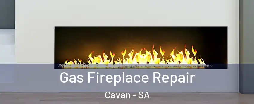 Gas Fireplace Repair Cavan - SA