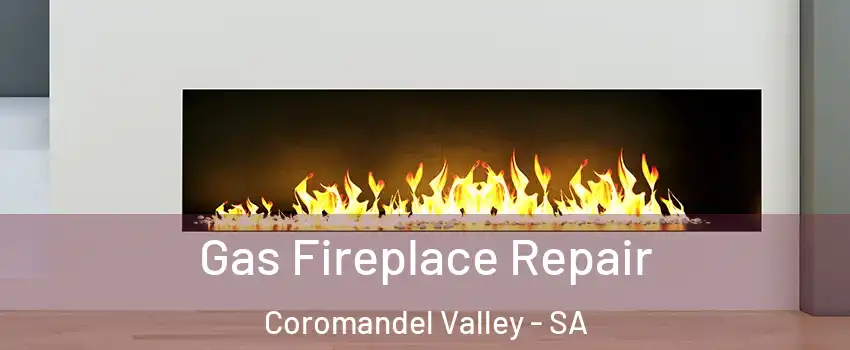 Gas Fireplace Repair Coromandel Valley - SA