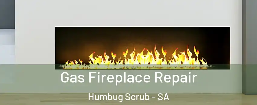  Gas Fireplace Repair Humbug Scrub - SA