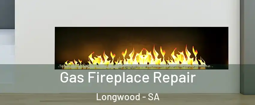  Gas Fireplace Repair Longwood - SA