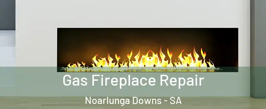  Gas Fireplace Repair Noarlunga Downs - SA