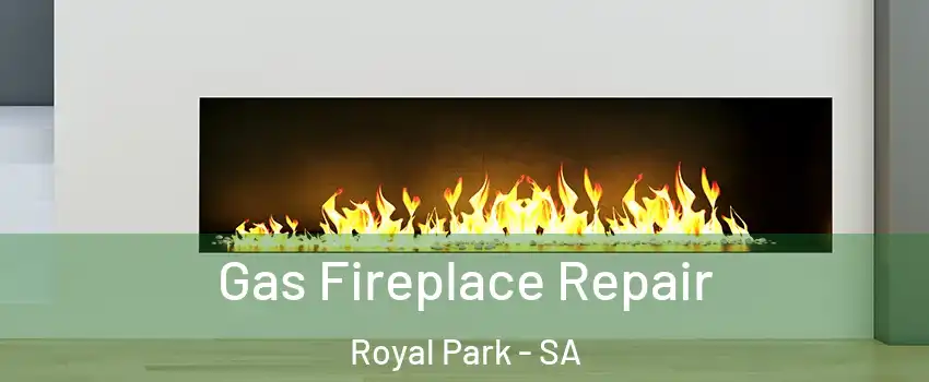  Gas Fireplace Repair Royal Park - SA