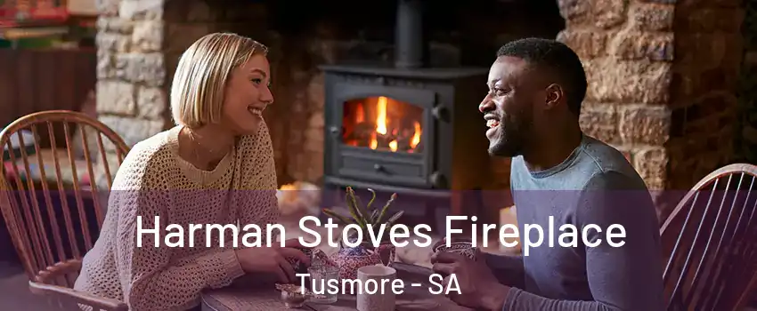  Harman Stoves Fireplace Tusmore - SA