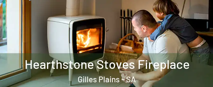  Hearthstone Stoves Fireplace Gilles Plains - SA