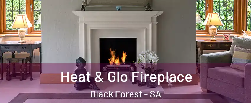 Heat & Glo Fireplace Black Forest - SA