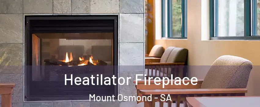  Heatilator Fireplace Mount Osmond - SA
