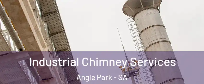  Industrial Chimney Services Angle Park - SA