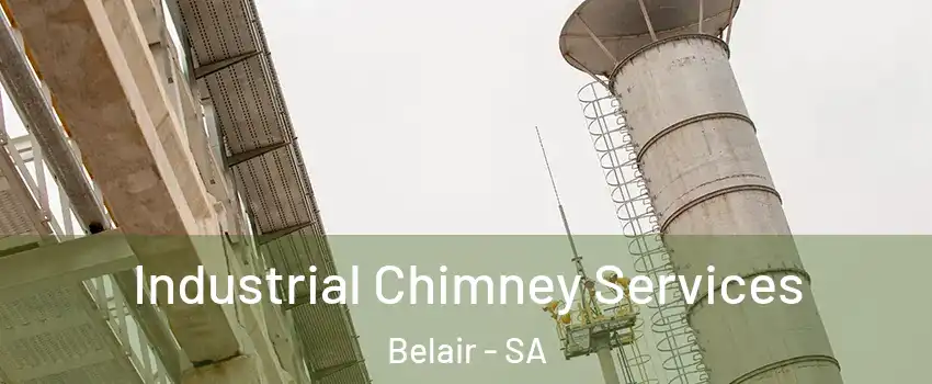 Industrial Chimney Services Belair - SA