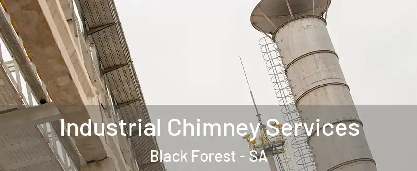 Industrial Chimney Services Black Forest - SA