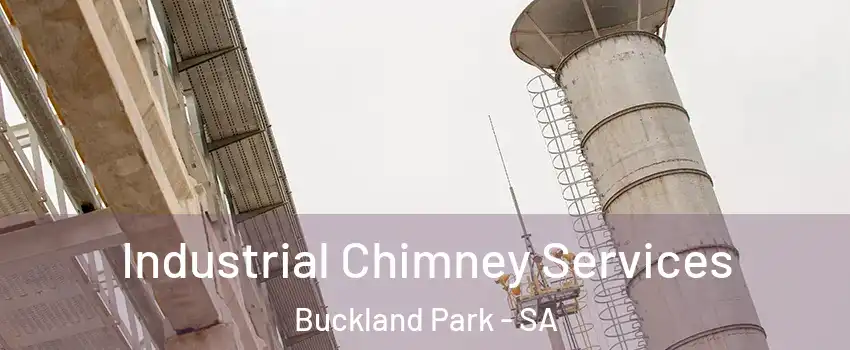Industrial Chimney Services Buckland Park - SA