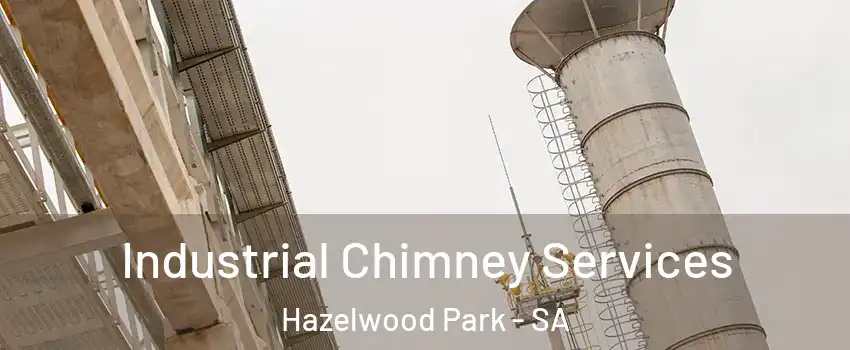 Industrial Chimney Services Hazelwood Park - SA