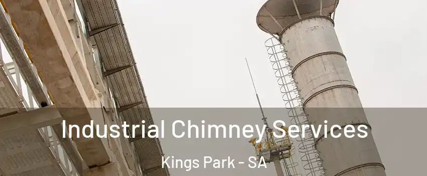  Industrial Chimney Services Kings Park - SA
