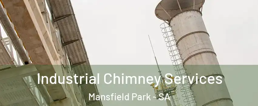 Industrial Chimney Services Mansfield Park - SA
