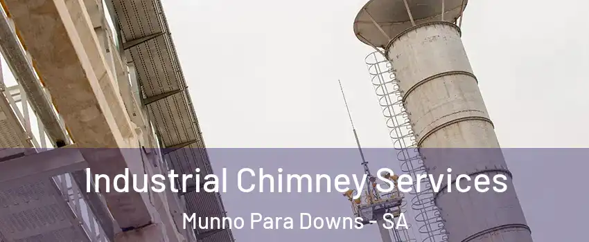  Industrial Chimney Services Munno Para Downs - SA